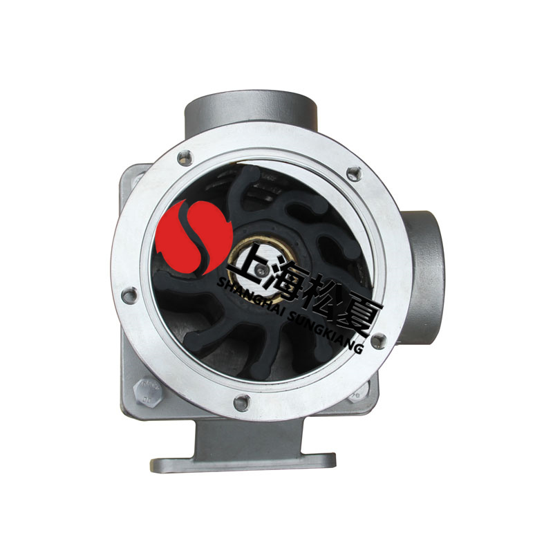  什么叫內(nèi)裝式橡膠葉輪泵？